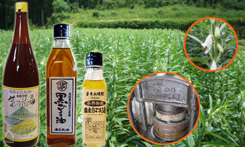 【鹿北製油】