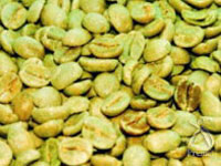 乾燥後のコーヒー豆