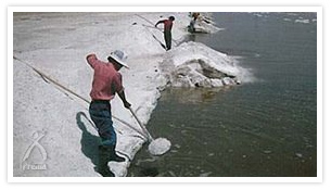 内モンゴル・ジランタイの塩採集の風景