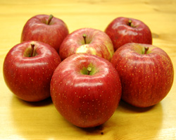 農薬不使用・化学肥料不使用りんご 「サンふじ」 6〜8個入（約2kg）