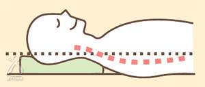 知恵ピロー・楽枕万能：枕の高さと首の角度がフィット