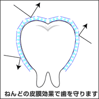 ねんどの皮膜効果で歯を守ります