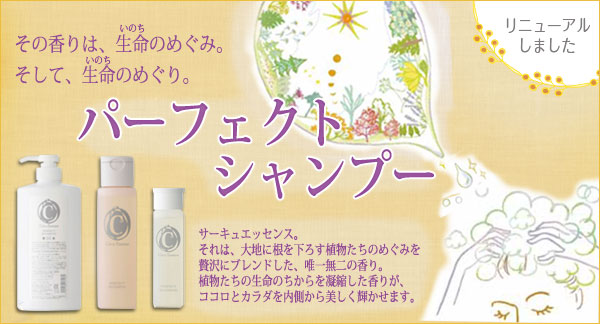 パーフェクトシャンプー