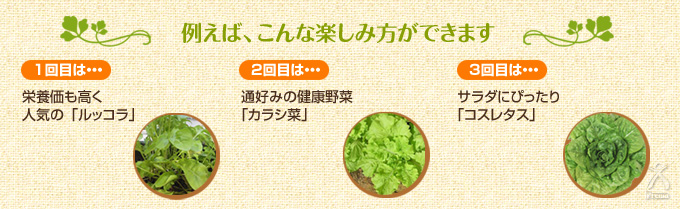 例えばこんな楽しみ方があります