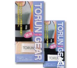 トルンギアイメージ