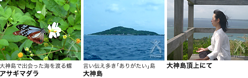 大神島で出会った海を渡る蝶　アサギマダラ/言い伝え多き「ありがたい」島　大神島/大神島頂上にて