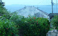 宮古島の風景
