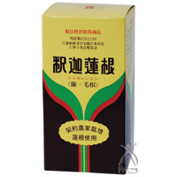 健康センター中川 釈迦蓮根