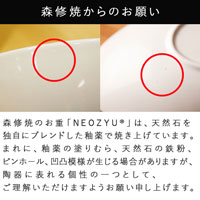 森修焼（しんしゅうやき） NEOZYU〜ネオジュウ〜 仕切り小鉢 マットブラック