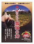 黒にんにく 雪国の力