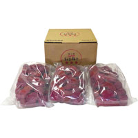 海の精 特別栽培 紅玉梅干 1.5kg（500g×3）