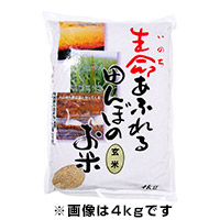 生命あふれる田んぼのお米 ひとめぼれ 玄米 4kg