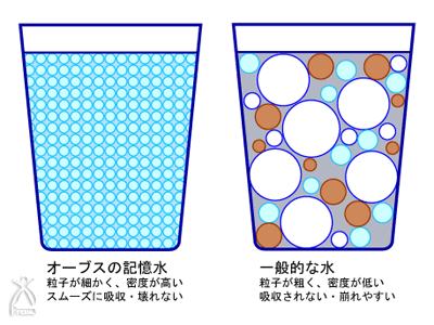 オーブスの記憶水：粒子が細かく、密度が高い。スムーズに吸収・壊れない　一般的な水：粒子が粗く、密度が低い。吸収されない・崩れやすい