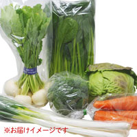 MOA自然農法 旬の野菜ボックス 【月前半水曜日発送】 6種類