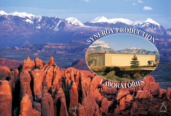 SYNERGY PRODUCTION LABORATORIES