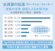 水資源の枯渇(ヴァーチャル・ウォーター)家畜の洗浄、屎尿による水質汚染