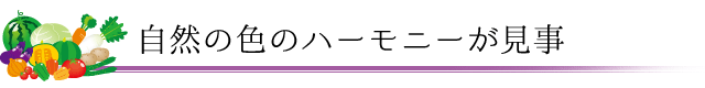 自然の色のハーモニーが見事