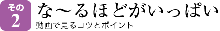 その2 な〜るほどがいっぱい 動画で見るコツとポイント