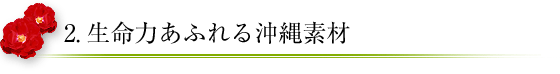 2.生命力あふれる沖縄素材