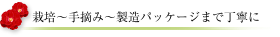 栽培～手摘み～製造パッケージまで丁寧に