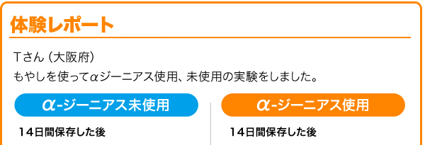 Tさんの体験レポート