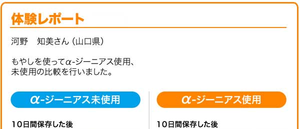 河野 知美さんの体験レポート