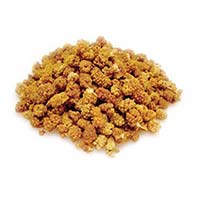 ALISHAN（アリサン） 有機ホワイトマルベリー（桑の実） 60g