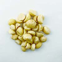 ALISHAN（アリサン） 有機マカデミアナッツ 生 70g