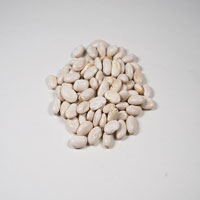 ALISHAN（アリサン） グレートノーザンビーンズ 500g