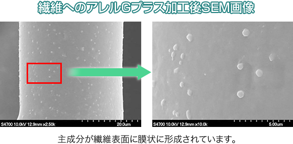 繊維へのアレルGプラス加工後SEM画像：主成分が繊維表面に膜状に形成されています。