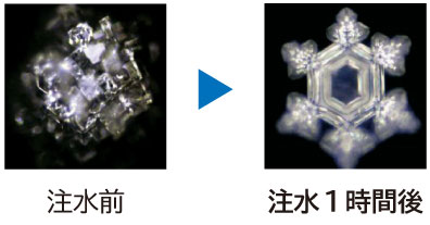 Nature's Design（ネイチャーズデザイン）結晶の変化