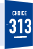 CHOICE313