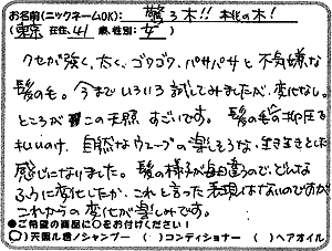 天照ルお客様の声