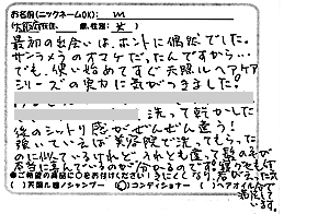 天照ルお客様の声