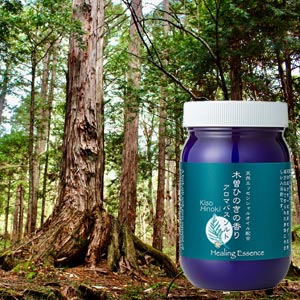 樹齢300年　木曽檜の爽やかさ