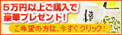 5万円お買い上げのお客様だけの特別プレゼント