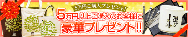 5万円以上お買い上げプレゼント！