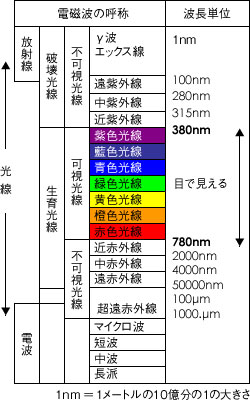 色と波動