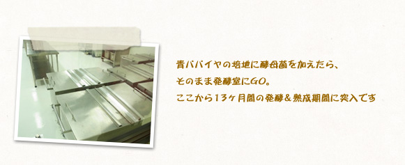 青パパイヤの培地に酵母菌を加えたら、そのまま発酵室にGO。ここから13ヶ月間の発酵＆熟成期間に突入です