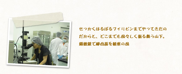 せっかくはるばるフィリピンまでやってきたのだからと、どこまでも図々しく振る舞う山下。顕微鏡で酵母菌を観察の図