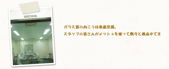 ガラス窓の向こうは無菌空間。スタッフの皆さんがメッシュを使って黙々と検品中です