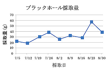 2ヶ月間でTOTAL　300gも取れました！（蛾など他の虫も含む）