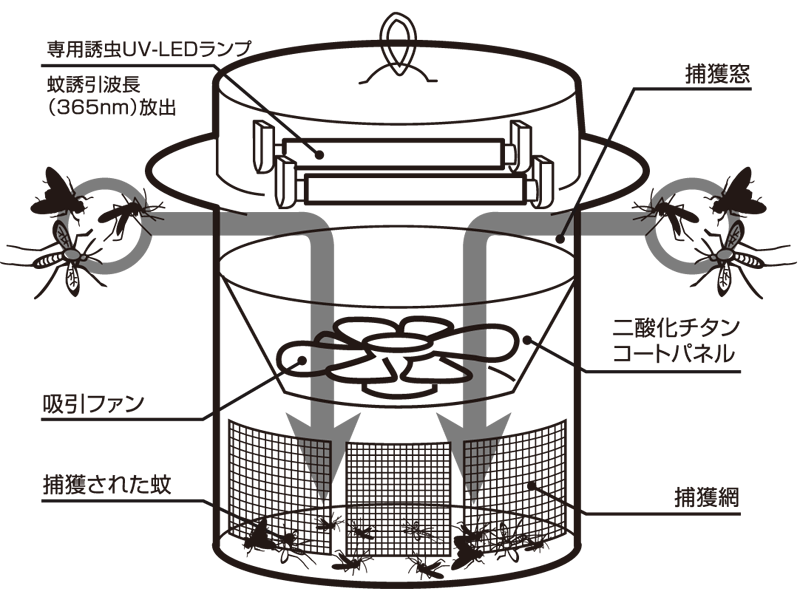 蚊がグングン捕れる 光触媒技術蚊取り器 ブラックホール びんちょうたんコム