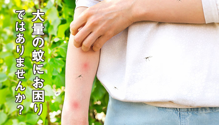 大量の蚊にお困りではありませんか？