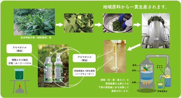 ボタニカノンができるまでの表