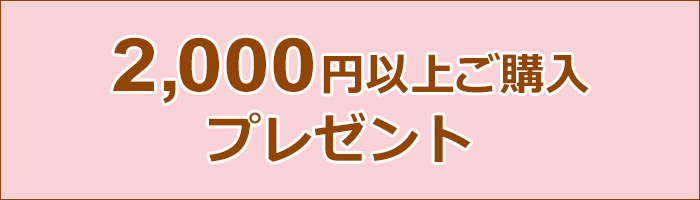 2千円以上ご購入プレゼント