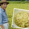 無肥料自然栽培のお米「遠賀のひかり」