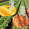 フルーツバスケットの加工野菜
