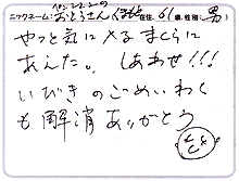 コロコロコクーンピロー：お客様からのご感想