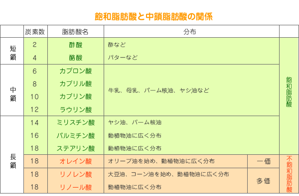 飽和脂肪酸と中鎖脂肪酸の関係